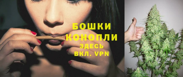 индика Надым