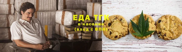 индика Надым
