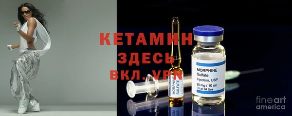 индика Надым
