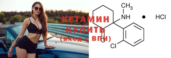 индика Надым