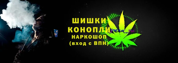 индика Надым
