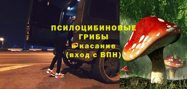 шишки Навашино