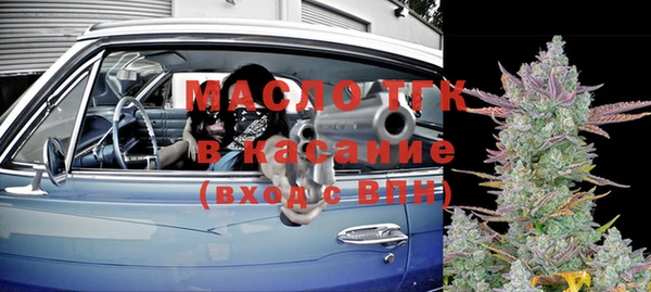 индика Надым