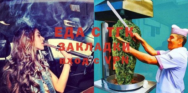 индика Надым