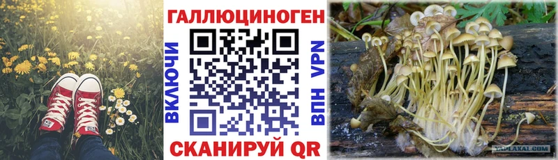 Галлюциногенные грибы мухоморы  Югорск 