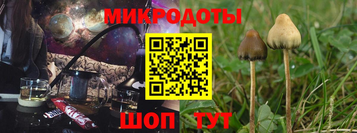Югорск  Галлюциногенные грибы мухоморы  Вход с VPN 